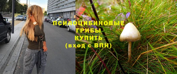 МДМА Белокуриха