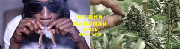 ГАЛЛЮЦИНОГЕННЫЕ ГРИБЫ Беломорск