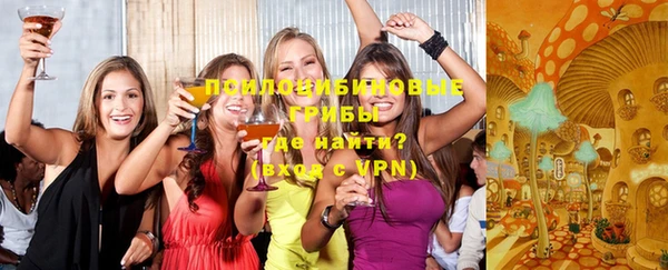 ГАЛЛЮЦИНОГЕННЫЕ ГРИБЫ Беломорск